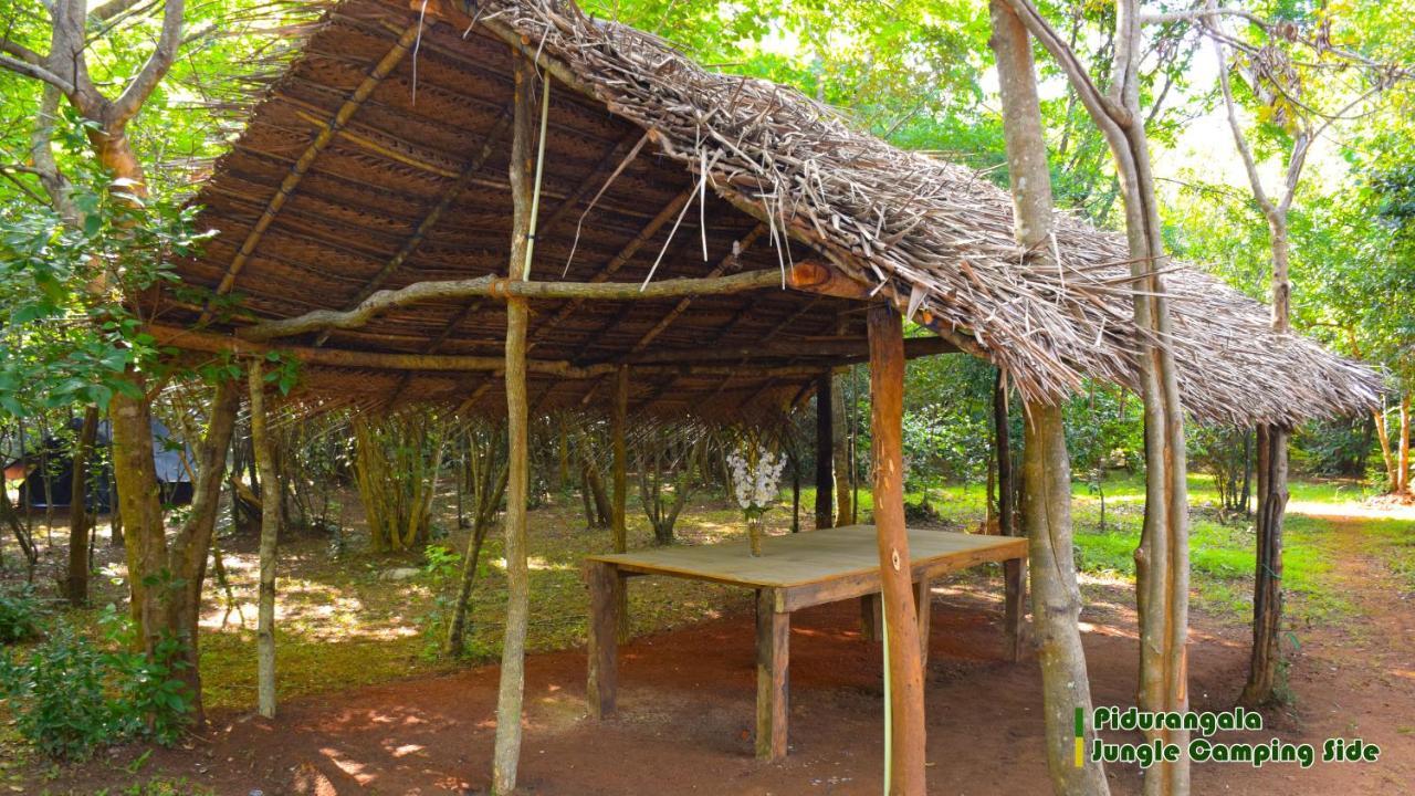 Sigiri Jungle Camping Hotel Szigirija Kültér fotó