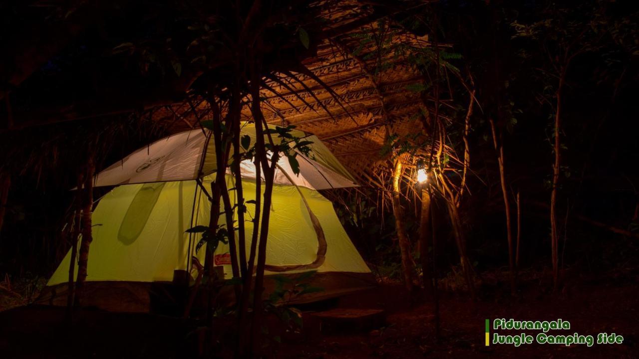 Sigiri Jungle Camping Hotel Szigirija Kültér fotó